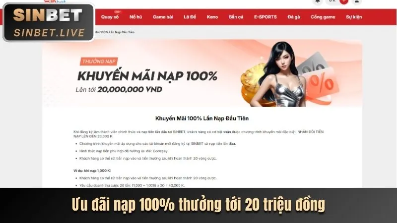 Hoàn Trả Cược Thua e8833